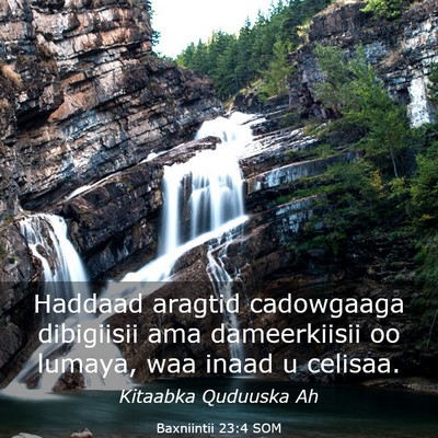 Picture 03 - Baxniintii 23:4 SOM - Haddaad aragtid cadowgaaga dibigiisii ama - Bible Verse Picture