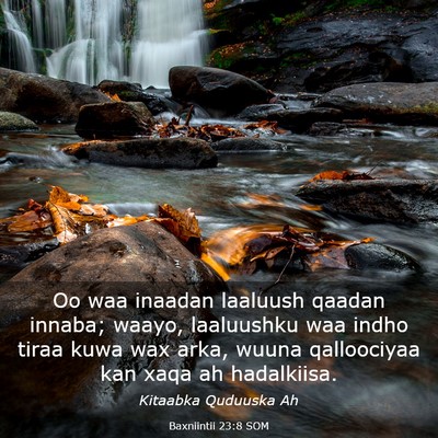 Picture 03 - Baxniintii 23:8 SOM - Oo waa inaadan laaluush qaadan innaba; waayo, - Bible Verse Picture