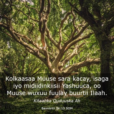 Picture 03 - Baxniintii 24:13 SOM - Kolkaasaa Muuse sara kacay, isaga iyo - Bible Verse Picture