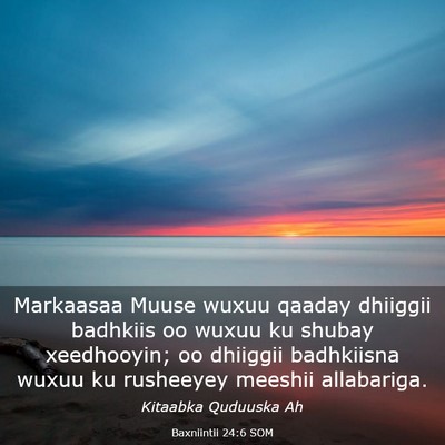 Picture 03 - Baxniintii 24:6 SOM - Markaasaa Muuse wuxuu qaaday dhiiggii badhkiis oo - Bible Verse Picture