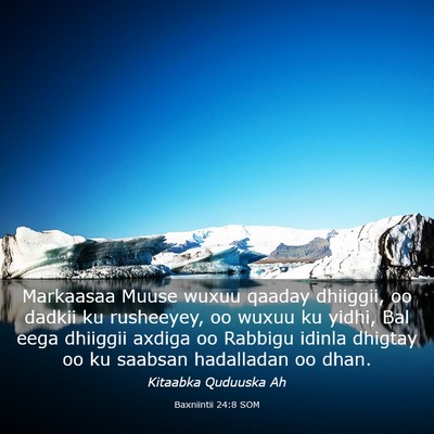 Picture 03 - Baxniintii 24:8 SOM - Markaasaa Muuse wuxuu qaaday dhiiggii, oo dadkii - Bible Verse Picture
