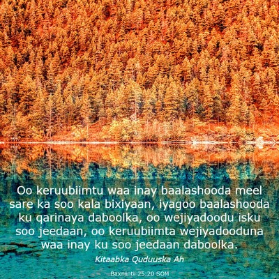 Picture 03 - Baxniintii 25:20 SOM - Oo keruubiimtu waa inay baalashooda meel sare ka - Bible Verse Picture