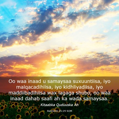 Picture 03 - Baxniintii 25:29 SOM - Oo waa inaad u samaysaa suxuuntiisa, iyo - Bible Verse Picture