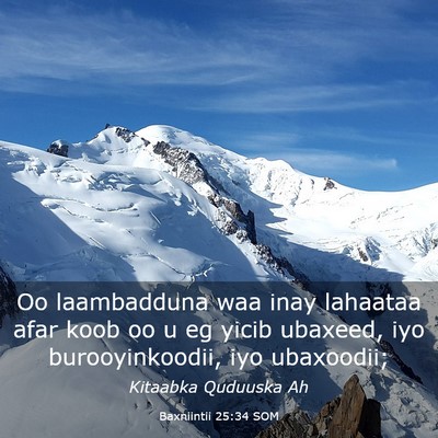 Picture 03 - Baxniintii 25:34 SOM - Oo laambadduna waa inay lahaataa afar koob oo u - Bible Verse Picture