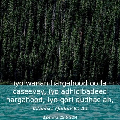 Picture 03 - Baxniintii 25:5 SOM - iyo wanan hargahood oo la caseeyey, iyo - Bible Verse Picture