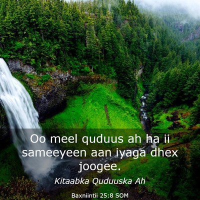 Picture 03 - Baxniintii 25:8 SOM - Oo meel quduus ah ha ii sameeyeen aan iyaga dhex - Bible Verse Picture