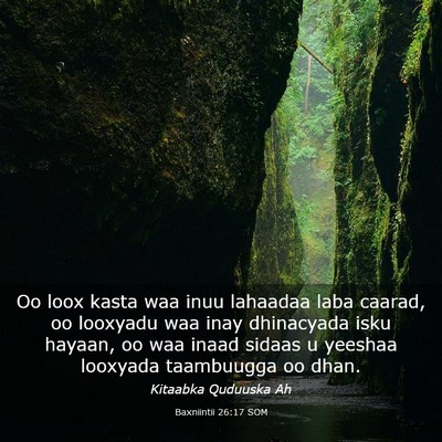 Picture 03 - Baxniintii 26:17 SOM - Oo loox kasta waa inuu lahaadaa laba caarad, oo - Bible Verse Picture