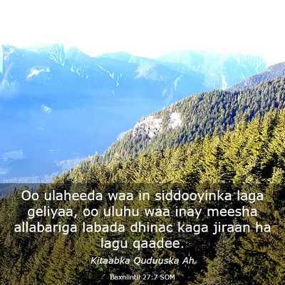Picture 03 - Baxniintii 27:7 SOM - Oo ulaheeda waa in siddooyinka laga geliyaa, oo - Bible Verse Picture