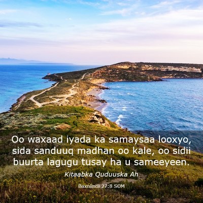 Picture 03 - Baxniintii 27:8 SOM - Oo waxaad iyada ka samaysaa looxyo, sida sanduuq - Bible Verse Picture