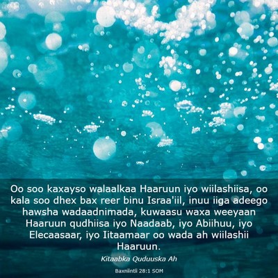 Picture 03 - Baxniintii 28:1 SOM - Oo soo kaxayso walaalkaa Haaruun iyo wiilashiisa, - Bible Verse Picture