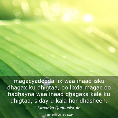 Picture 03 - Baxniintii 28:10 SOM - magacyadooda lix waa inaad isku dhagax ku - Bible Verse Picture