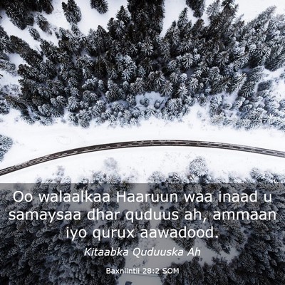 Picture 03 - Baxniintii 28:2 SOM - Oo walaalkaa Haaruun waa inaad u samaysaa dhar - Bible Verse Picture