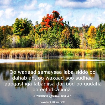 Picture 03 - Baxniintii 28:26 SOM - Oo waxaad samaysaa laba siddo oo dahab ah, oo - Bible Verse Picture