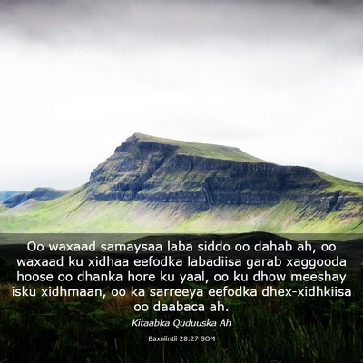 Picture 03 - Baxniintii 28:27 SOM - Oo waxaad samaysaa laba siddo oo dahab ah, oo - Bible Verse Picture
