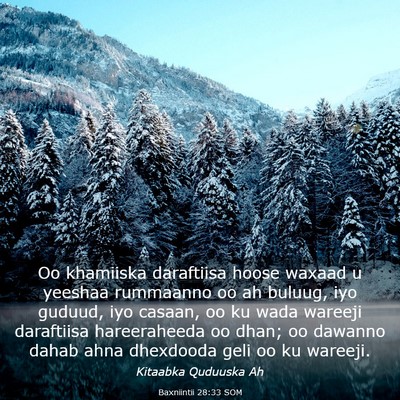 Picture 03 - Baxniintii 28:33 SOM - Oo khamiiska daraftiisa hoose waxaad u yeeshaa - Bible Verse Picture