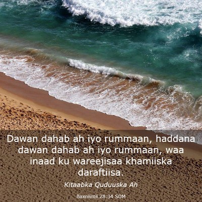 Picture 03 - Baxniintii 28:34 SOM - Dawan dahab ah iyo rummaan, haddana dawan dahab - Bible Verse Picture