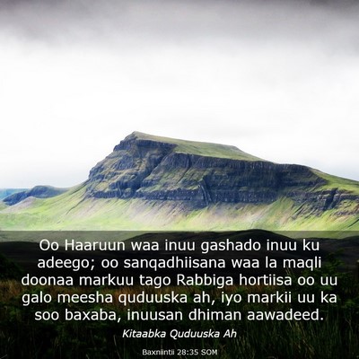 Picture 03 - Baxniintii 28:35 SOM - Oo Haaruun waa inuu gashado inuu ku adeego; oo - Bible Verse Picture