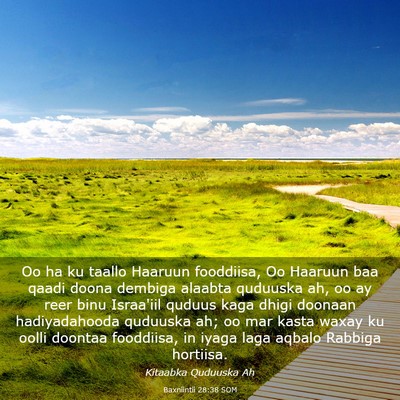 Picture 03 - Baxniintii 28:38 SOM - Oo ha ku taallo Haaruun fooddiisa, Oo Haaruun baa - Bible Verse Picture