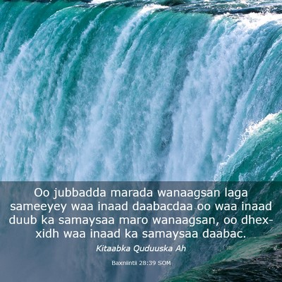 Picture 03 - Baxniintii 28:39 SOM - Oo jubbadda marada wanaagsan laga sameeyey waa - Bible Verse Picture
