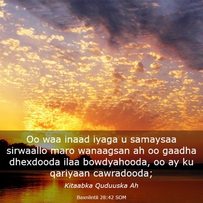 Picture 03 - Baxniintii 28:42 SOM - Oo waa inaad iyaga u samaysaa sirwaallo maro - Bible Verse Picture