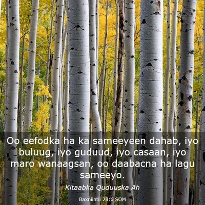 Picture 03 - Baxniintii 28:6 SOM - Oo eefodka ha ka sameeyeen dahab, iyo buluug, iyo - Bible Verse Picture