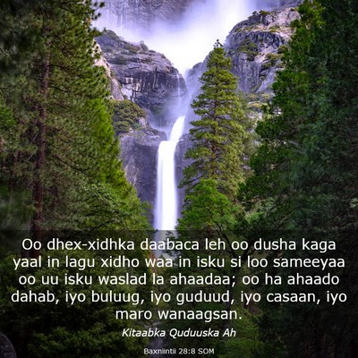 Picture 03 - Baxniintii 28:8 SOM - Oo dhex-xidhka daabaca leh oo dusha kaga yaal in - Bible Verse Picture