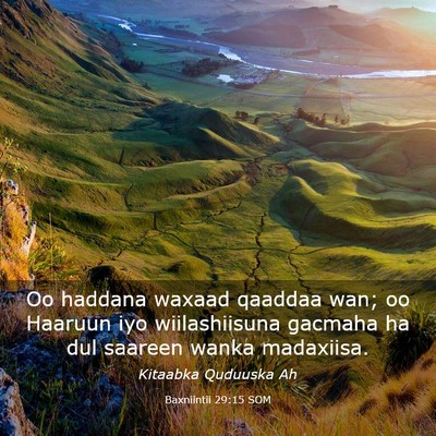 Picture 03 - Baxniintii 29:15 SOM - Oo haddana waxaad qaaddaa wan; oo Haaruun iyo - Bible Verse Picture