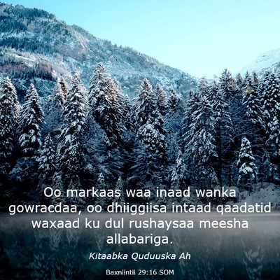 Picture 03 - Baxniintii 29:16 SOM - Oo markaas waa inaad wanka gowracdaa, oo - Bible Verse Picture