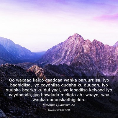 Picture 03 - Baxniintii 29:22 SOM - Oo waxaad kaloo qaaddaa wanka baruurtiisa, iyo - Bible Verse Picture