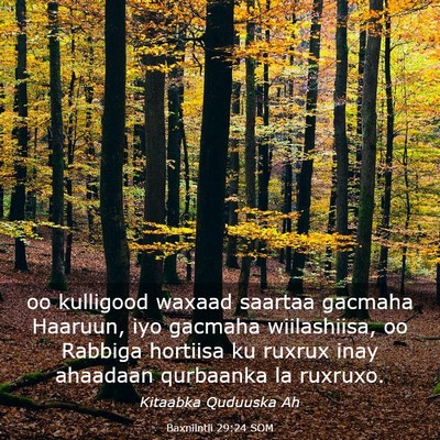 Picture 03 - Baxniintii 29:24 SOM - oo kulligood waxaad saartaa gacmaha Haaruun, iyo - Bible Verse Picture