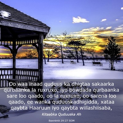 Picture 03 - Baxniintii 29:27 SOM - Oo waa inaad quduus ka dhigtaa sakaarka qurbaanka - Bible Verse Picture