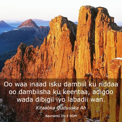 Picture 03 - Baxniintii 29:3 SOM - Oo waa inaad isku dambiil ku riddaa oo dambiisha - Bible Verse Picture