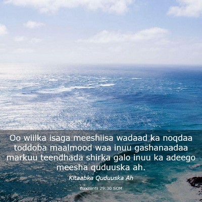 Picture 03 - Baxniintii 29:30 SOM - Oo wiilka isaga meeshiisa wadaad ka noqdaa - Bible Verse Picture