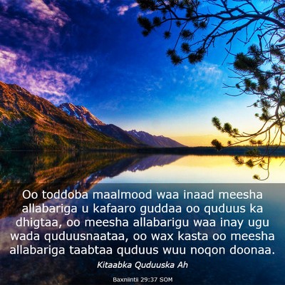 Picture 03 - Baxniintii 29:37 SOM - Oo toddoba maalmood waa inaad meesha allabariga u - Bible Verse Picture