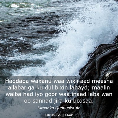 Picture 03 - Baxniintii 29:38 SOM - Haddaba waxanu waa wixii aad meesha allabariga ku - Bible Verse Picture