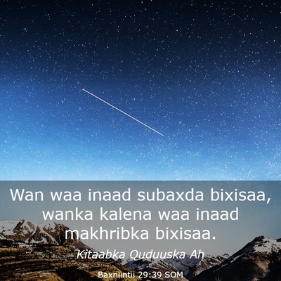 Picture 03 - Baxniintii 29:39 SOM - Wan waa inaad subaxda bixisaa, wanka kalena waa - Bible Verse Picture