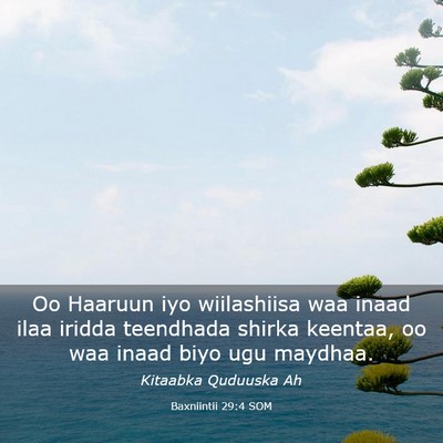 Picture 03 - Baxniintii 29:4 SOM - Oo Haaruun iyo wiilashiisa waa inaad ilaa iridda - Bible Verse Picture