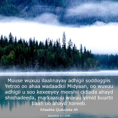 Picture 03 - Baxniintii 3:1 SOM - Muuse wuxuu ilaalinayay adhigii soddoggiis Yetroo - Bible Verse Picture