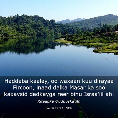 Picture 03 - Baxniintii 3:10 SOM - Haddaba kaalay, oo waxaan kuu dirayaa Fircoon, - Bible Verse Picture