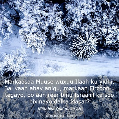 Picture 03 - Baxniintii 3:11 SOM - Markaasaa Muuse wuxuu Ilaah ku yidhi, Bal yaan - Bible Verse Picture