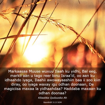Picture 03 - Baxniintii 3:13 SOM - Markaasaa Muuse wuxuu Ilaah ku yidhi, Bal eeg, - Bible Verse Picture