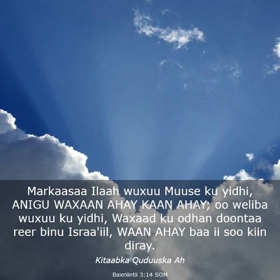 Picture 03 - Baxniintii 3:14 SOM - Markaasaa Ilaah wuxuu Muuse ku yidhi, ANIGU - Bible Verse Picture