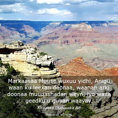 Picture 03 - Baxniintii 3:3 SOM - Markaasaa Muuse wuxuu yidhi, Anigu waan ku leexan - Bible Verse Picture