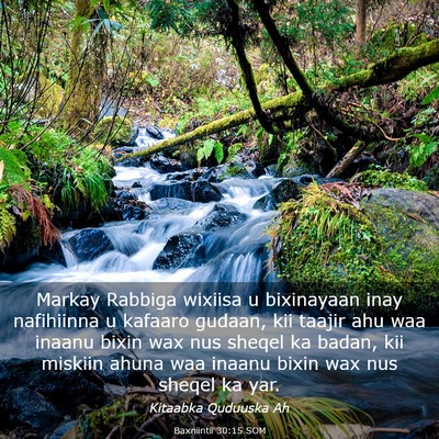 Picture 03 - Baxniintii 30:15 SOM - Markay Rabbiga wixiisa u bixinayaan inay - Bible Verse Picture
