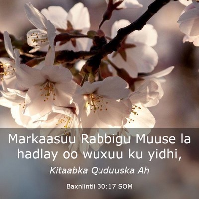 Picture 03 - Baxniintii 30:17 SOM - Markaasuu Rabbigu Muuse la hadlay oo wuxuu ku - Bible Verse Picture