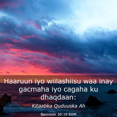 Picture 03 - Baxniintii 30:19 SOM - Haaruun iyo wiilashiisu waa inay gacmaha iyo - Bible Verse Picture