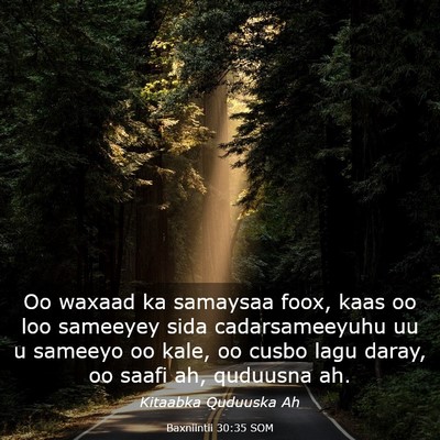 Picture 03 - Baxniintii 30:35 SOM - Oo waxaad ka samaysaa foox, kaas oo loo sameeyey - Bible Verse Picture