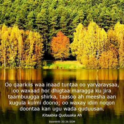 Picture 03 - Baxniintii 30:36 SOM - Oo qaarkiis waa inaad tuntaa oo yaryaraysaa, oo - Bible Verse Picture