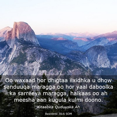 Picture 03 - Baxniintii 30:6 SOM - Oo waxaad hor dhigtaa ilxidhka u dhow sanduuqa - Bible Verse Picture