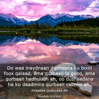 Picture 03 - Baxniintii 30:9 SOM - Oo waa inaydnaan dusheeda ku bixin foox qalaad, - Bible Verse Picture